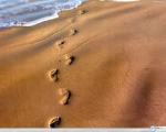 footsteps