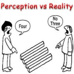 perception